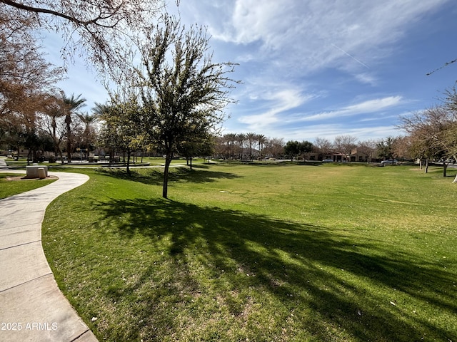 view of community with a lawn