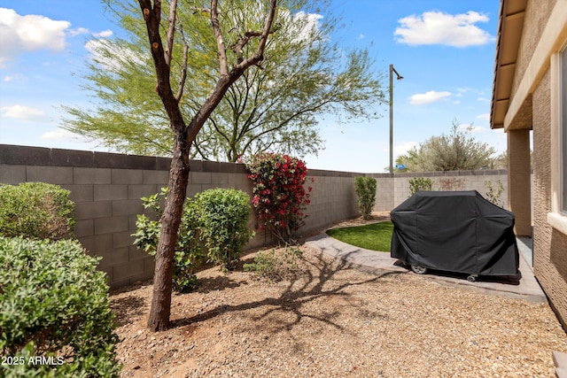 26242 N 122nd Ln, Peoria, AZ 85383 - view of yard featuring a fenced backyard