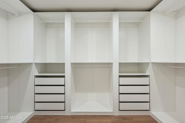 spacious closet with hardwood / wood-style flooring