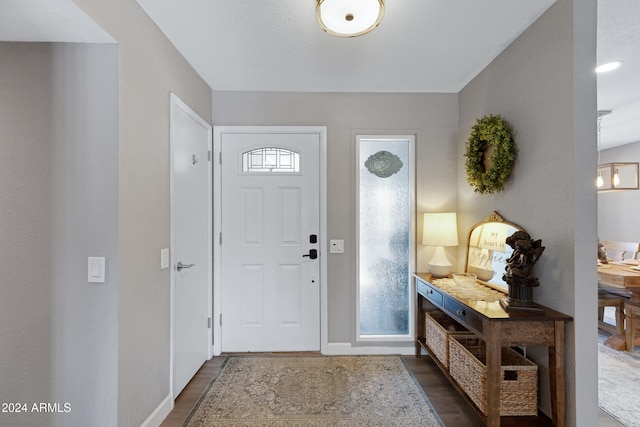 entrance foyer featuring dark hardwood / wood-style flooring