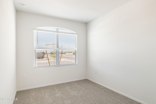 empty room featuring baseboards and light carpet