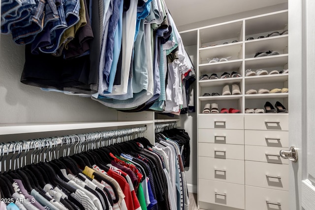 view of spacious closet