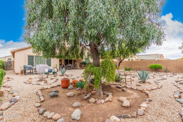 view of yard featuring a patio