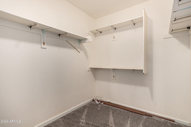 spacious closet with carpet floors