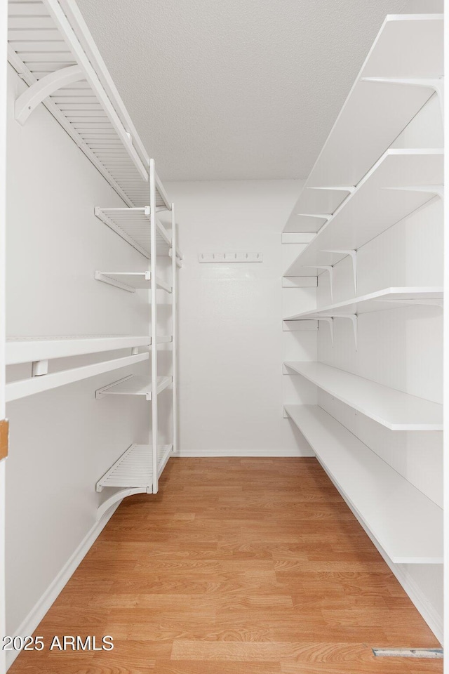 spacious closet with hardwood / wood-style floors