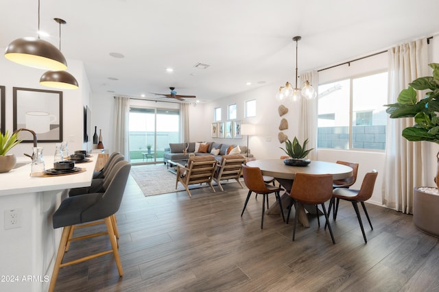 dining area with ceiling fan with notable chandelier, a healthy amount of sunlight, and dark hardwood / wood-style flooring