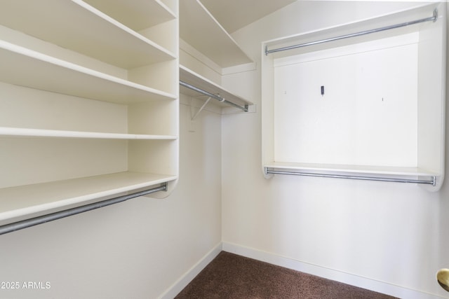 spacious closet featuring dark colored carpet