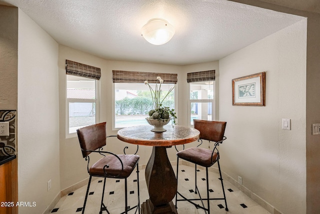 dining room featuring baseboards and a textured ceiling