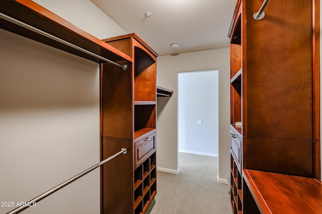 spacious closet featuring carpet