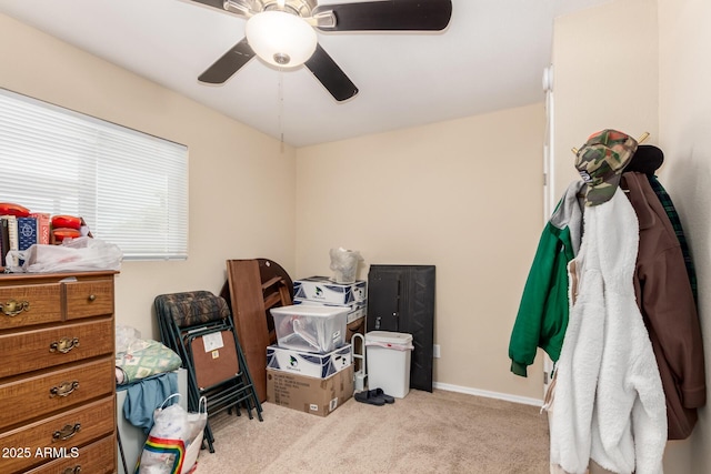storage featuring a ceiling fan