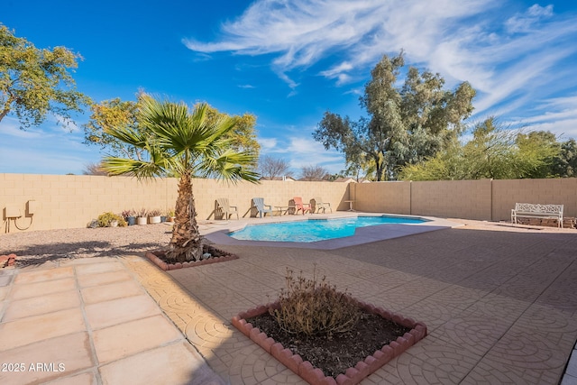 view of pool featuring a patio area