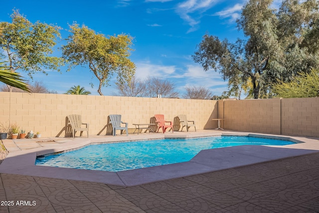 view of pool with a patio