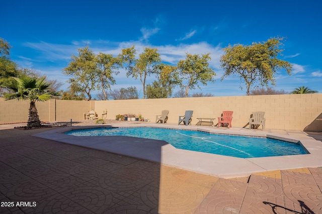 view of pool with a patio area