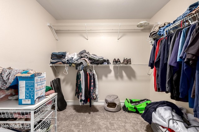 5484 E 36th Ave, Apache Junction, AZ 85119 - walk in closet with carpet floors