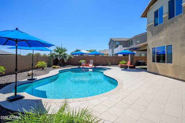 3247 E Creosote Ln, Gilbert, AZ 85298 - view of swimming pool with a patio and a fenced backyard