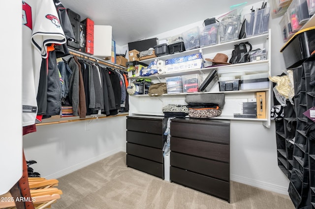 3247 E Creosote Ln, Gilbert, AZ 85298 - spacious closet featuring carpet floors