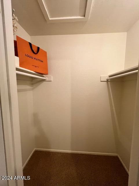 spacious closet with carpet flooring