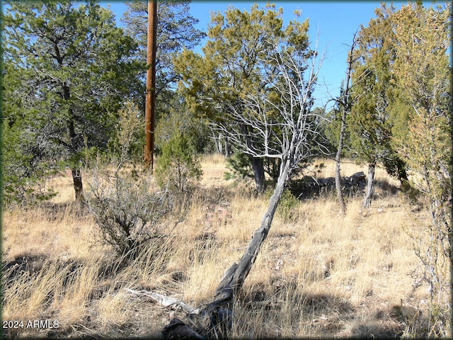 3326 Bear Heights Rd Unit 5, Heber AZ, 85928 land for sale