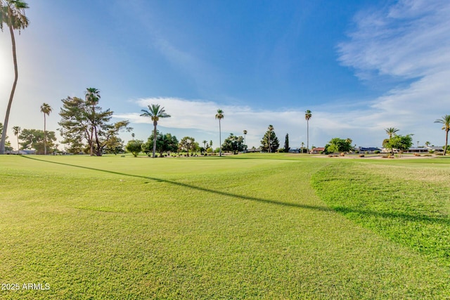 view of property's community with a lawn