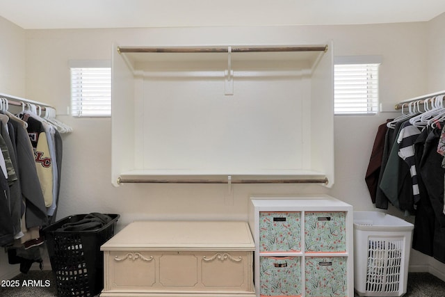 view of spacious closet