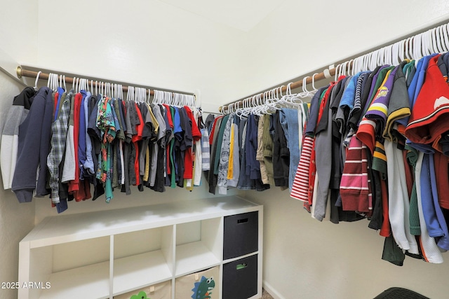 view of walk in closet