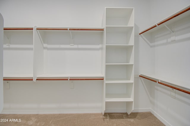 walk in closet with light colored carpet