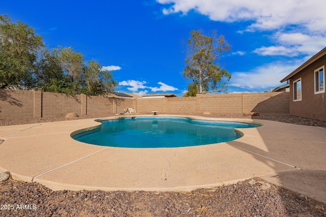 view of swimming pool featuring a fenced in pool, a fenced backyard, and a patio area