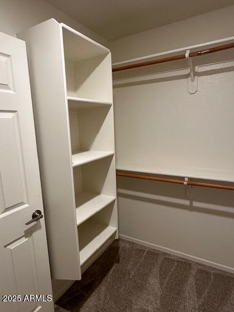 20275 N 81st Ln, Peoria, AZ 85382 - spacious closet featuring dark colored carpet