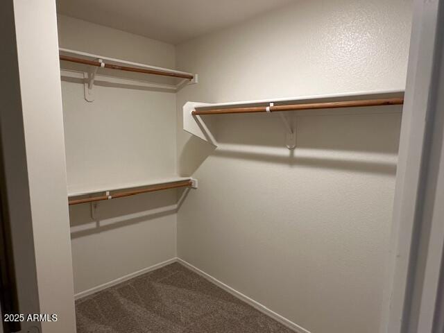 20275 N 81st Ln, Peoria, AZ 85382 - spacious closet with carpet floors