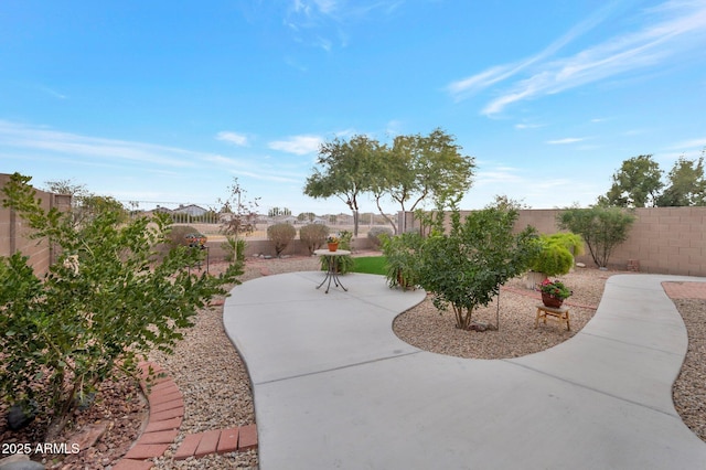 23677 N Desert Dr, Florence, AZ 85132 - view of community featuring a patio area and a fenced backyard