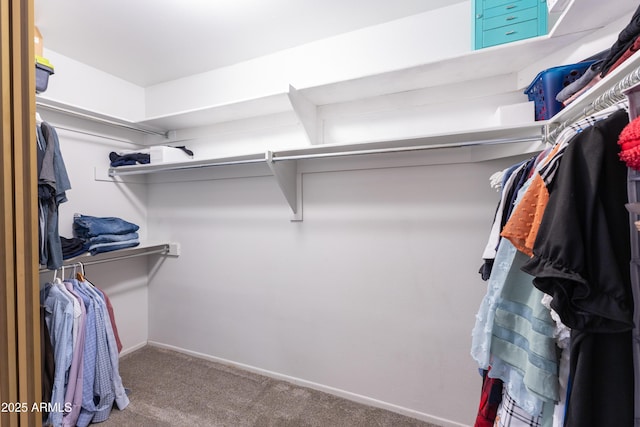 spacious closet with carpet flooring