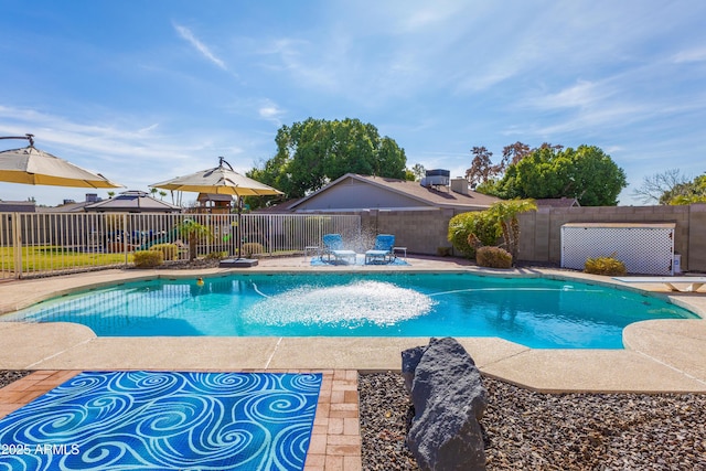 view of pool featuring a patio area and a diving board