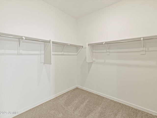 walk in closet with carpet flooring