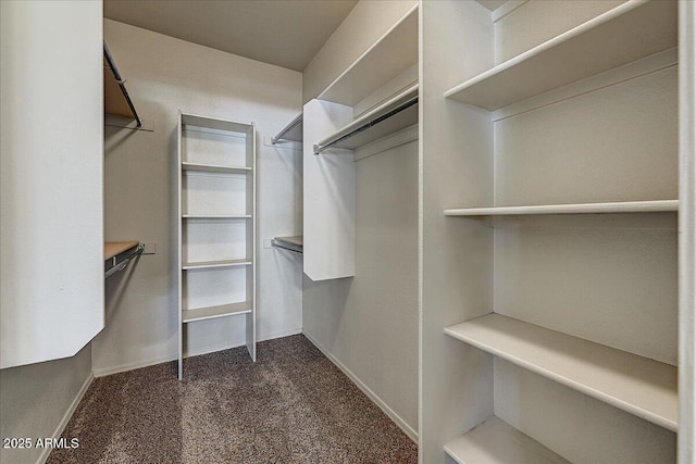 29606 N Tatum Blvd N Unit 265, Cave Creek, AZ 85331 - spacious closet with dark carpet