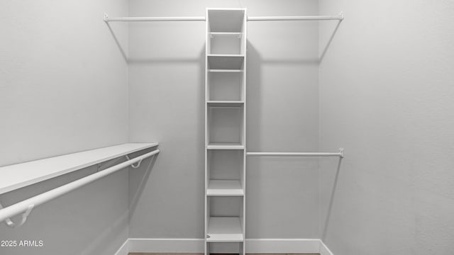 view of walk in closet