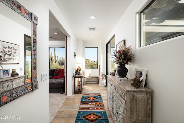 corridor featuring light hardwood / wood-style flooring and a healthy amount of sunlight