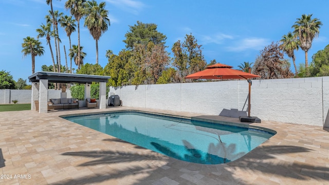 view of swimming pool with outdoor lounge area and a patio