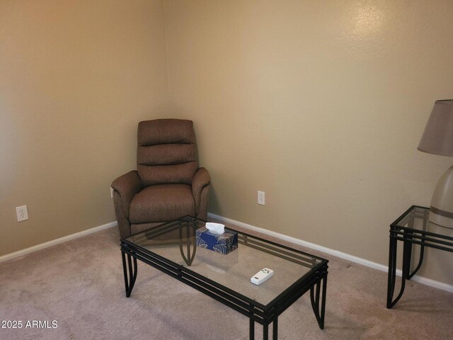 1769 E Jacob St, San Tan Valley, AZ 85140 - sitting room with carpet floors and baseboards
