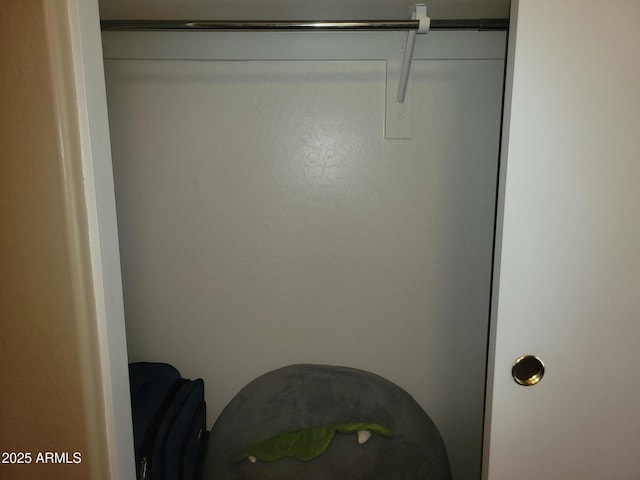 1769 E Jacob St, San Tan Valley, AZ 85140 - view of closet