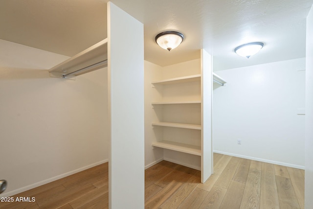 spacious closet with light wood-type flooring