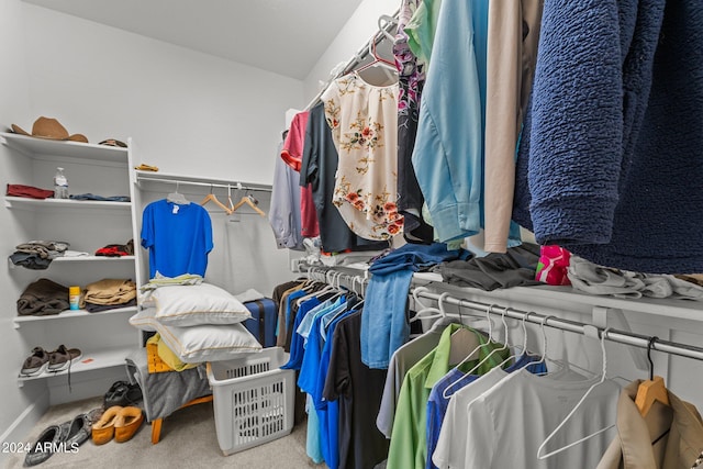 walk in closet featuring carpet flooring