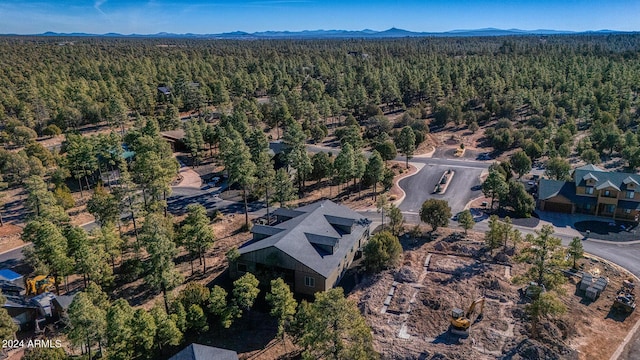 birds eye view of property with a mountain view