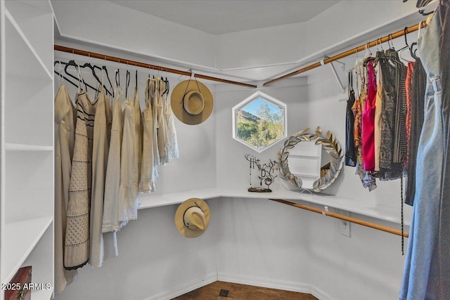 9183 W Shamel Ash Rd, Peoria, AZ 85383 - walk in closet featuring wood finished floors