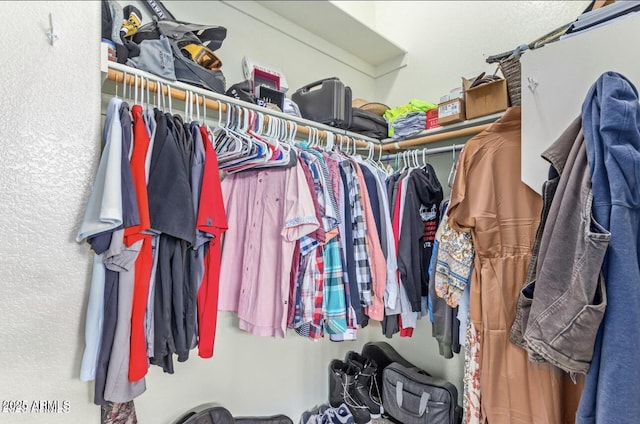 view of spacious closet