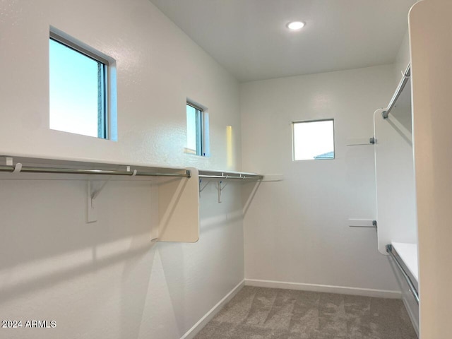 spacious closet featuring carpet