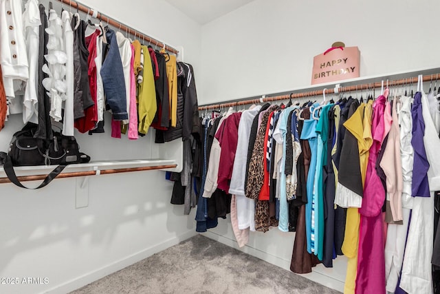 2250 E Palmdale Ln, Gilbert, AZ 85298 - spacious closet with carpet flooring
