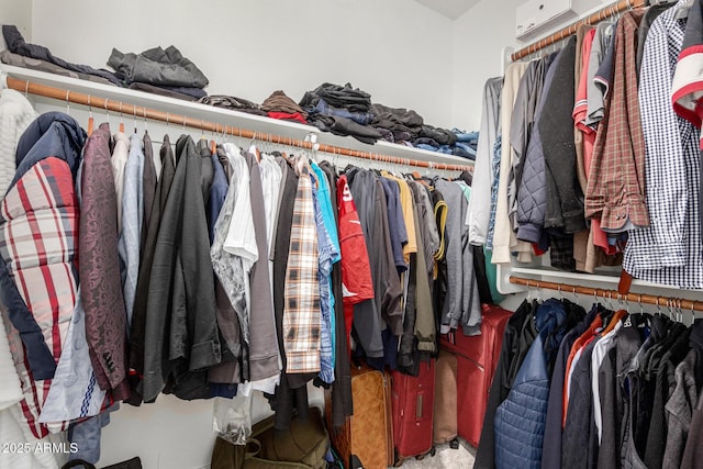 2250 E Palmdale Ln, Gilbert, AZ 85298 - view of spacious closet