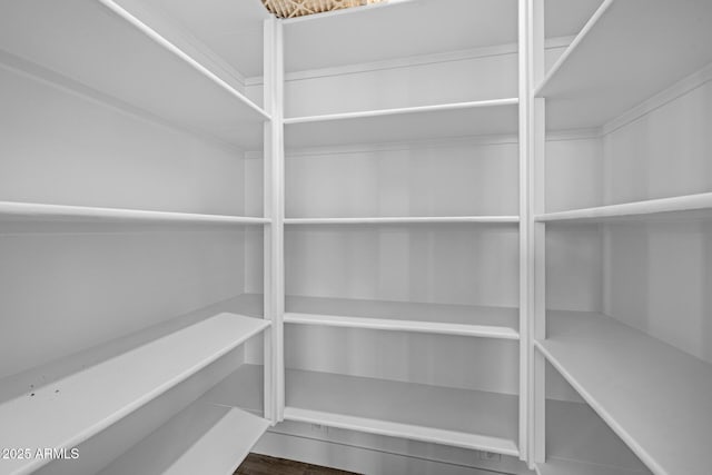 view of pantry
