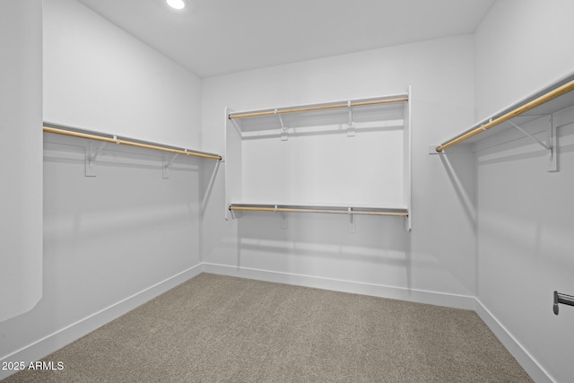 walk in closet with carpet