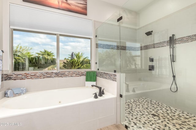16201 S 29th Ave, Phoenix, AZ 85045 - full bath featuring plenty of natural light, a bath, and a shower stall